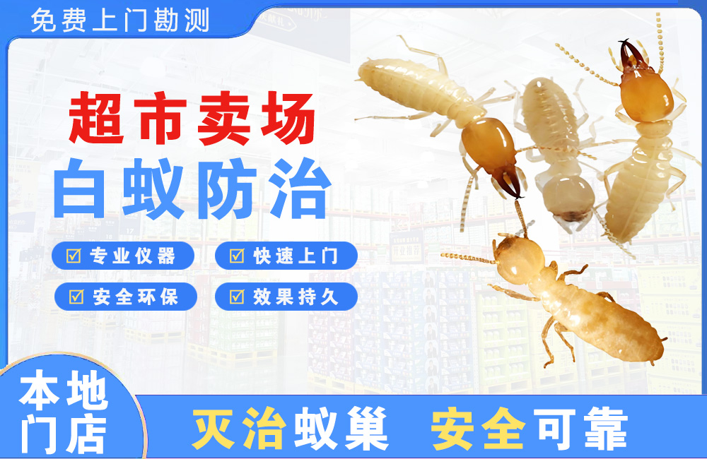 江山超市卖场白蚁防治