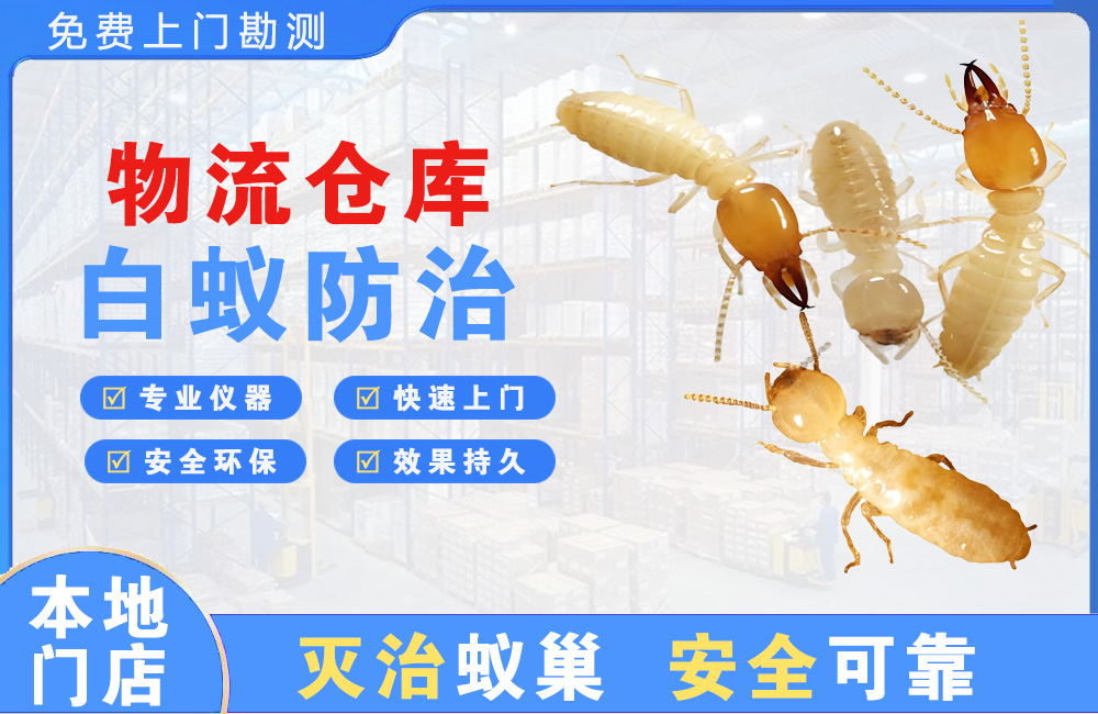 江山物流仓库白蚁防治