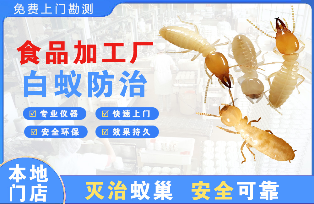江山食品加工厂白蚁防治