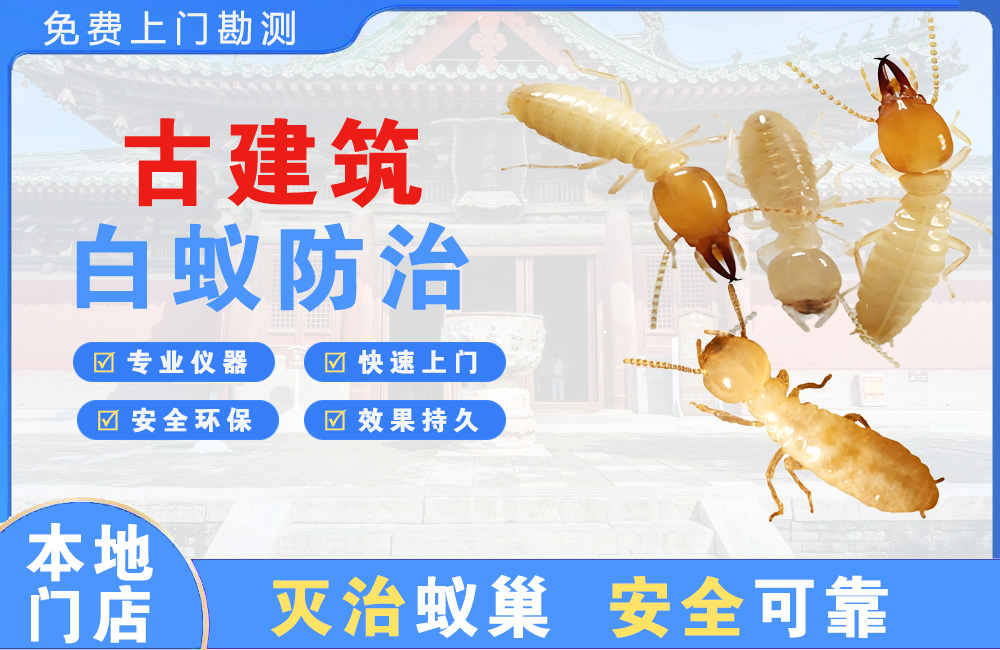江山古建筑白蚁防治