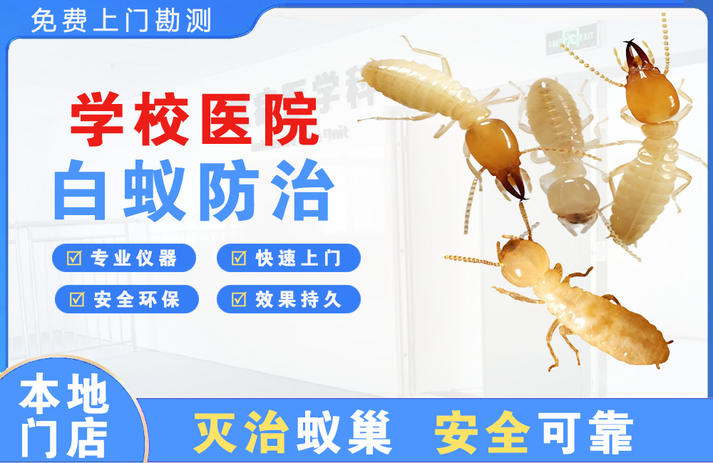 江山学校医院白蚁防治